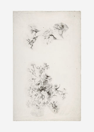 Botanical Parchment