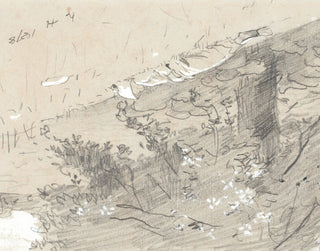 Tree Sketch