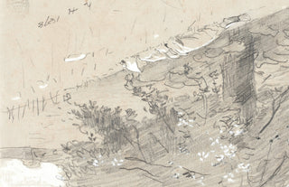Tree Sketch