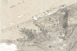 Tree Sketch