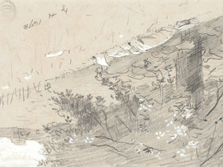 Tree Sketch