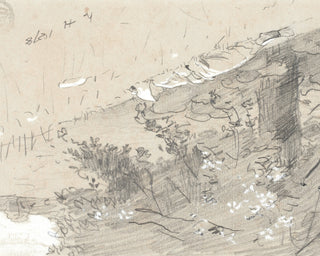 Tree Sketch