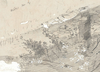 Tree Sketch