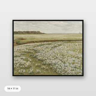 Spring Green Meadow
