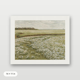 Spring Green Meadow