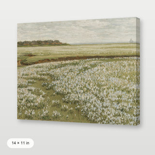 Spring Green Meadow