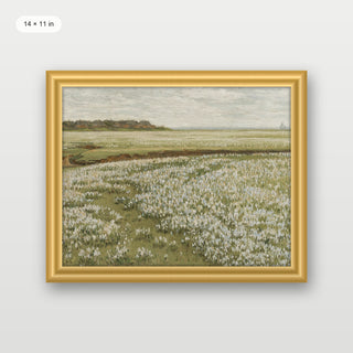 Spring Green Meadow