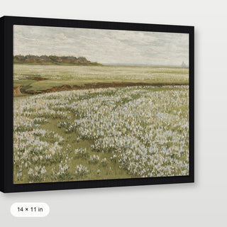 Spring Green Meadow