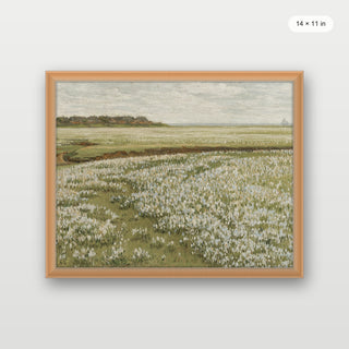 Spring Green Meadow