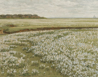 Spring Green Meadow