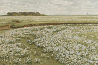 Spring Green Meadow