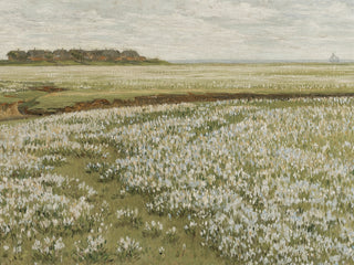 Spring Green Meadow