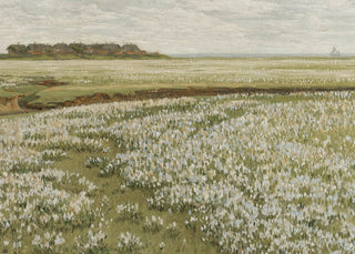 Spring Green Meadow