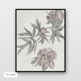 Spring Roses