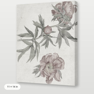 Spring Roses