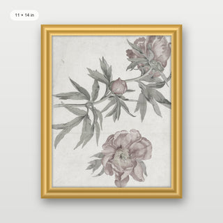 Spring Roses