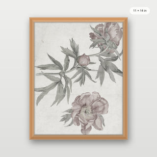 Spring Roses