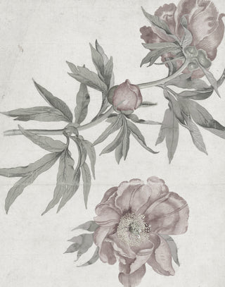 Spring Roses