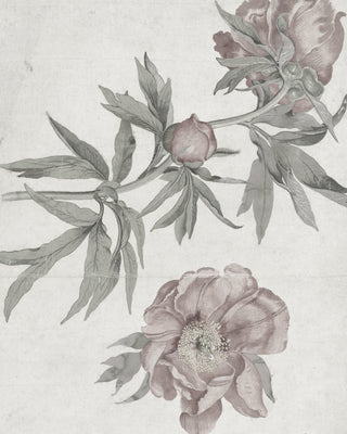 Spring Roses
