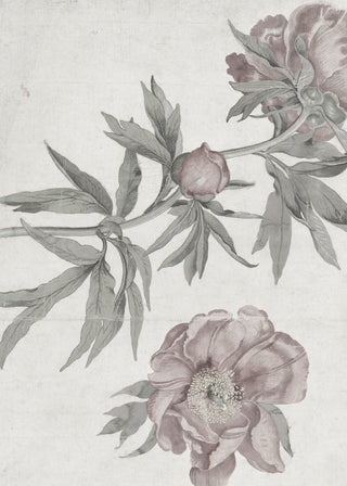 Spring Roses