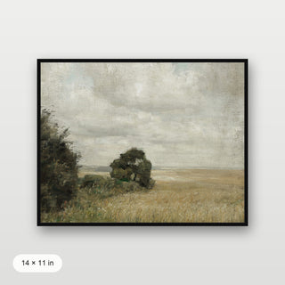 Muted Green Hay Field