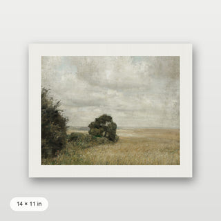 Muted Green Hay Field