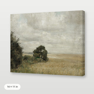 Muted Green Hay Field