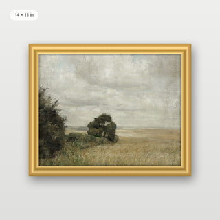 Muted Green Hay Field