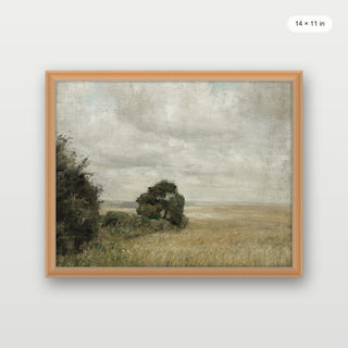 Muted Green Hay Field