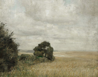 Muted Green Hay Field