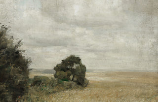 Muted Green Hay Field