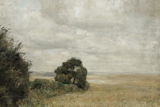 Muted Green Hay Field