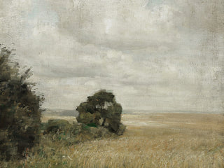 Muted Green Hay Field