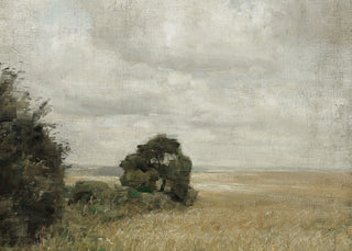 Muted Green Hay Field