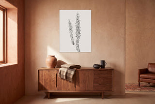 Hay Stem Sketch