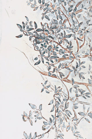 Apple Tree Branches