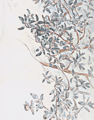 Apple Tree Branches