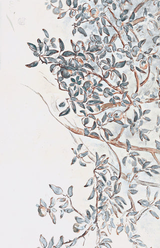 Apple Tree Branches