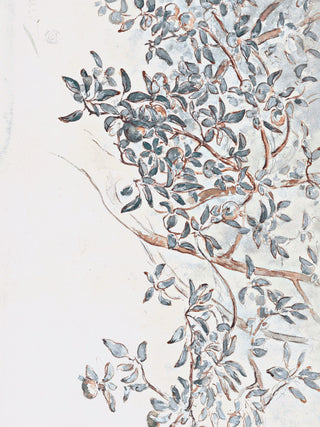 Apple Tree Branches
