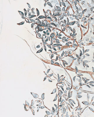 Apple Tree Branches