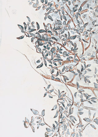 Apple Tree Branches