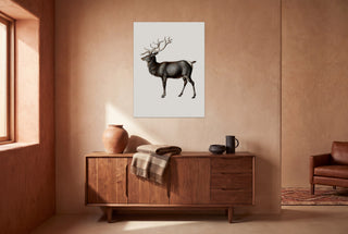 Reindeer