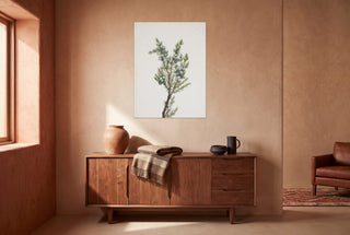 Winter Pine Branch