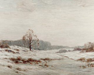 Winter Landscape
