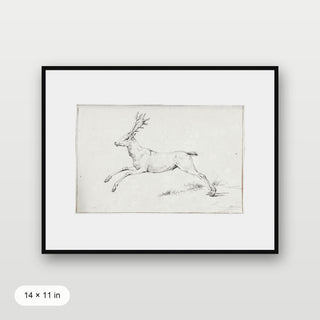 Reindeer Sketch
