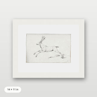 Reindeer Sketch