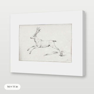 Reindeer Sketch