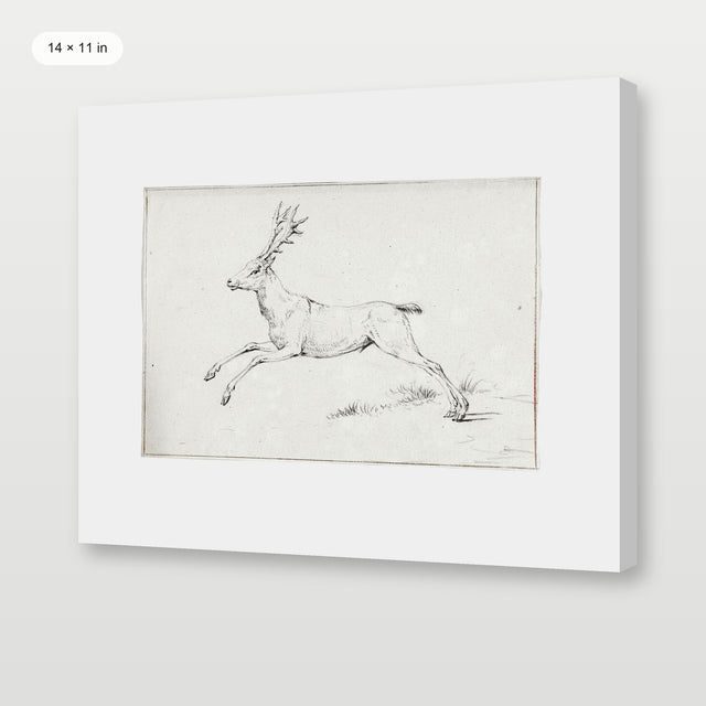 Reindeer Sketch, Gallery Wrap