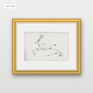 Reindeer Sketch