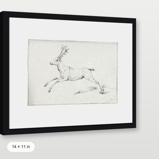 Reindeer Sketch
